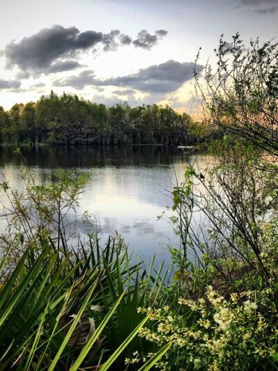 Six Mile Cypress Slough Preserve - Fort Myers, FL