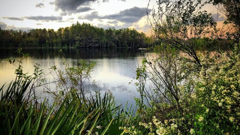 Six Mile Cypress Slough Preserve - Fort Myers, FL