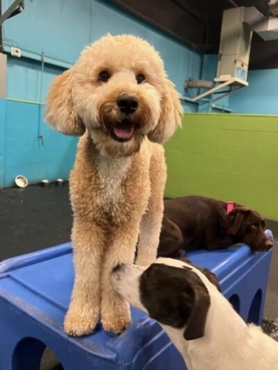 The Barker Lounge - Fort Myers, FL