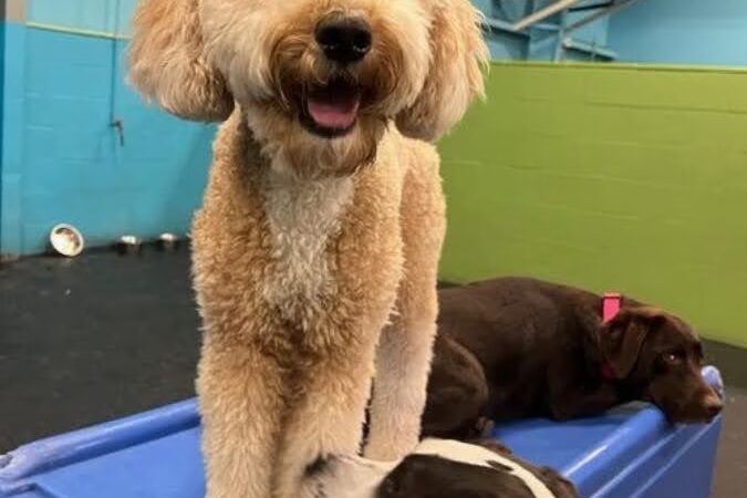 The Barker Lounge - Fort Myers, FL