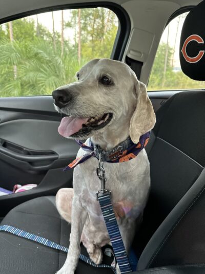 The Barker Lounge - Fort Myers, FL