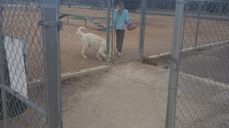 Fort Sam Dog Park - Fort Sam Houston, TX