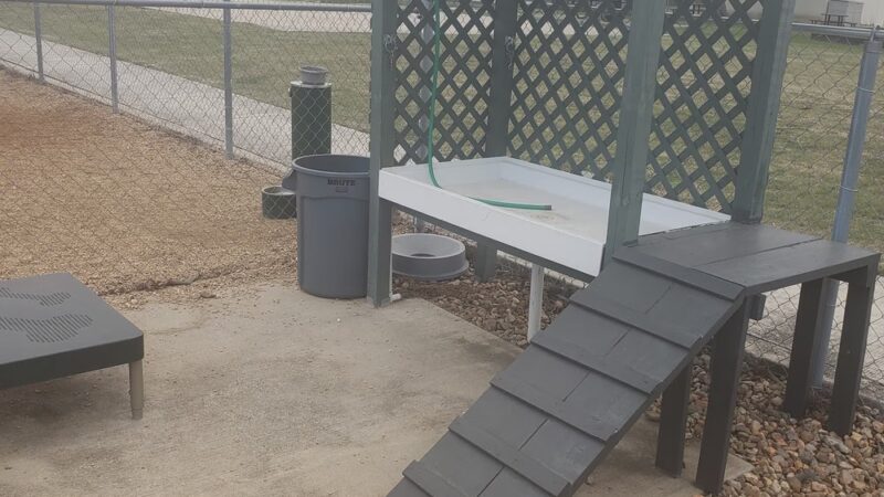 Fort Sam Dog Park - Fort Sam Houston, TX