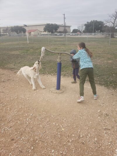 Harris Heights Dog Park - Fort Sam Houston, TX