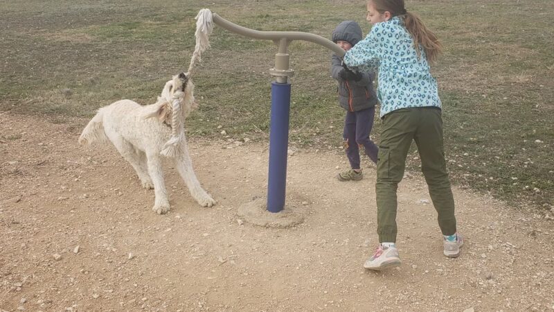 Harris Heights Dog Park - Fort Sam Houston, TX