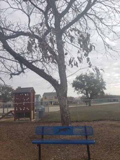 Harris Heights Dog Park - Fort Sam Houston, TX