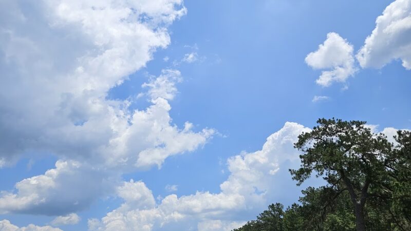 Holbrook Pond Recreation And Campground - Fort Stewart, GA