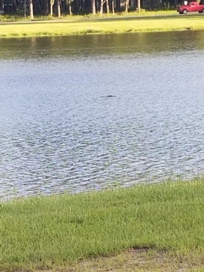 Holbrook Pond Recreation And Campground - Fort Stewart, GA