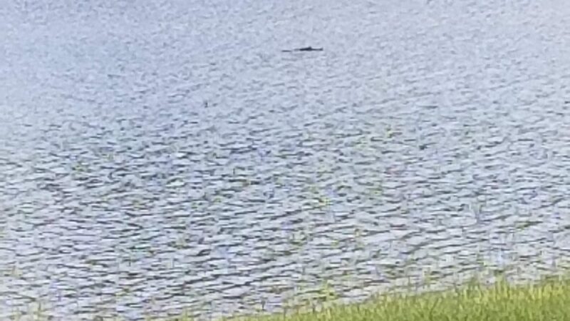 Holbrook Pond Recreation And Campground - Fort Stewart, GA