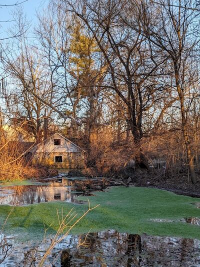 Piszek Preserve - Fort Washington, PA