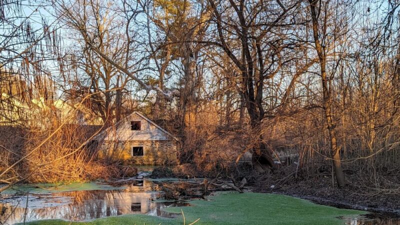 Piszek Preserve - Fort Washington, PA