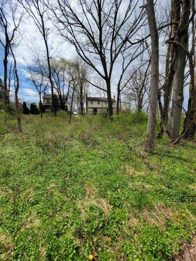 Piszek Preserve - Fort Washington, PA