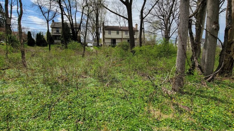 Piszek Preserve - Fort Washington, PA