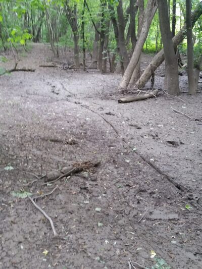 Bloomingdale Park - Fort Wayne, IN