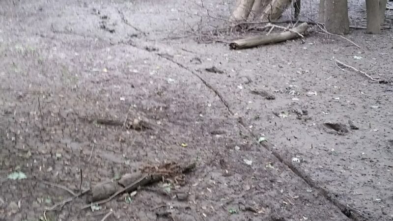 Bloomingdale Park - Fort Wayne, IN
