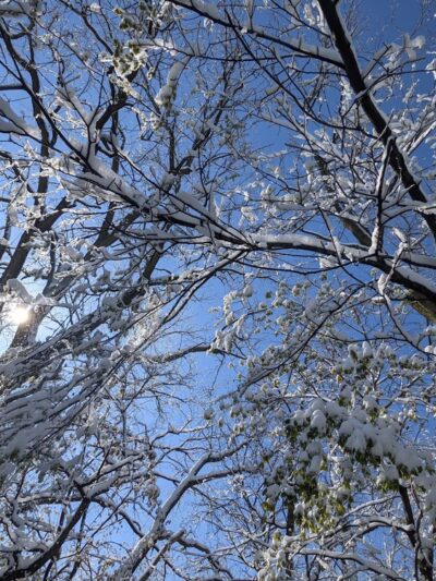Bloomingdale Park - Fort Wayne, IN