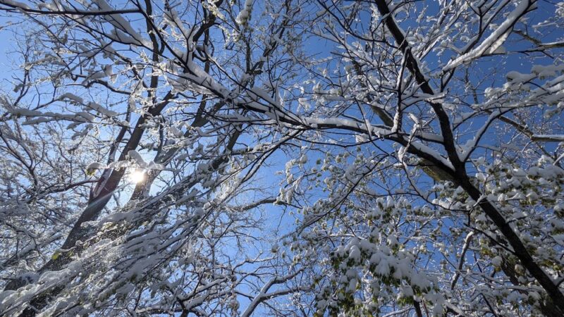 Bloomingdale Park - Fort Wayne, IN