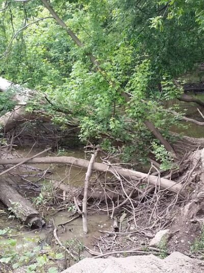 Bloomingdale Park - Fort Wayne, IN