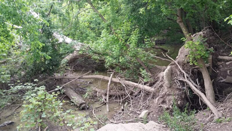 Bloomingdale Park - Fort Wayne, IN