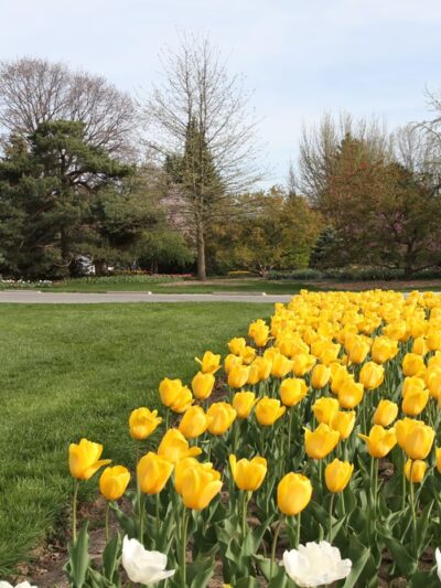 Foster Park - Fort Wayne, IN