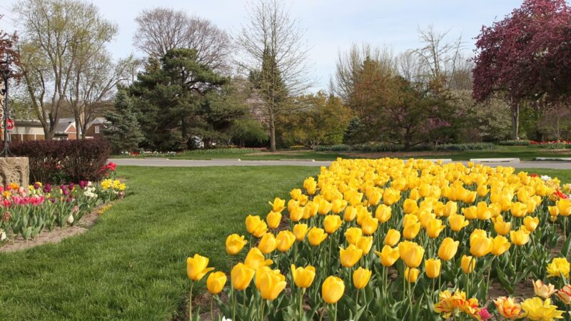 Foster Park - Fort Wayne, IN