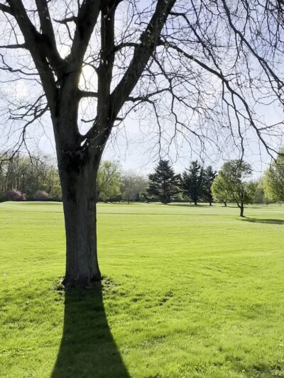 Foster Park - Fort Wayne, IN