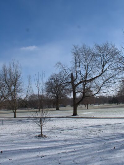 Foster Park Play Ground - Fort Wayne, IN