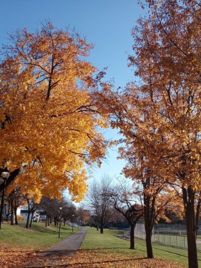 Hamilton Park - Fort Wayne, IN