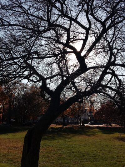Hamilton Park - Fort Wayne, IN