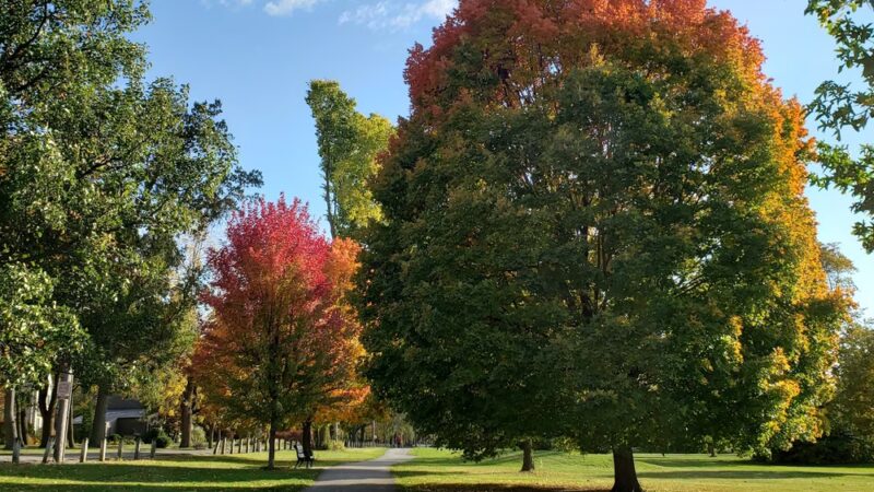 Indian Village Park and Playground - Fort Wayne, IN