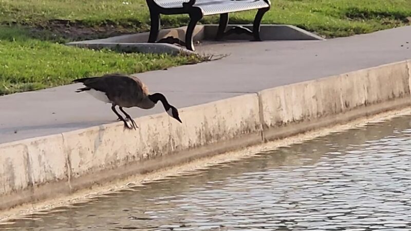 Ivan Lebamoff Reservoir Park - Fort Wayne, IN