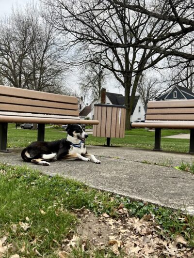 Lafayette Park - Fort Wayne, IN