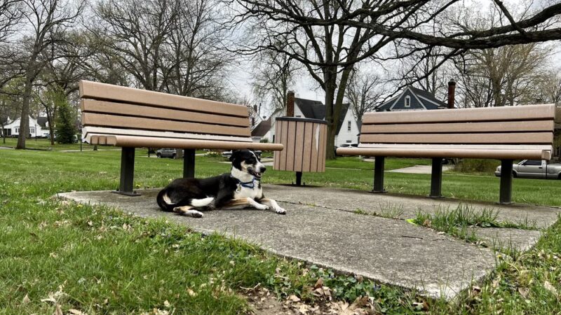 Lafayette Park - Fort Wayne, IN