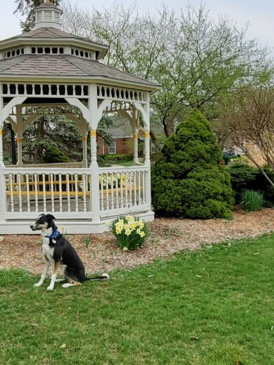 Lafayette Park - Fort Wayne, IN