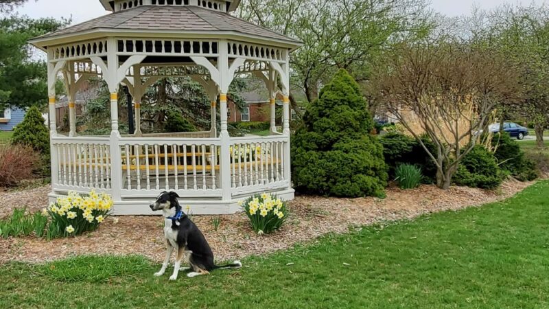 Lafayette Park - Fort Wayne, IN