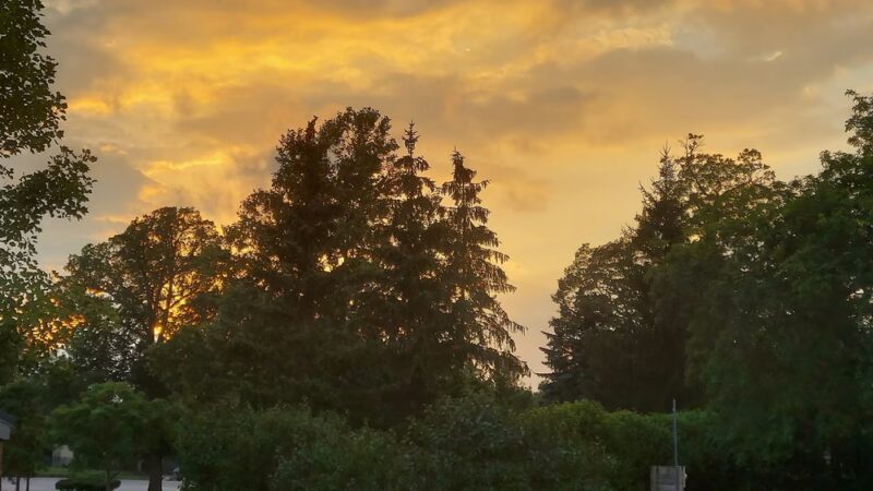 Lutheran Park - Fort Wayne, IN