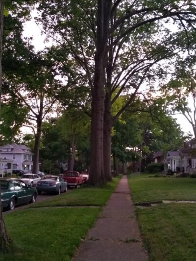 Packard Park - Fort Wayne, IN