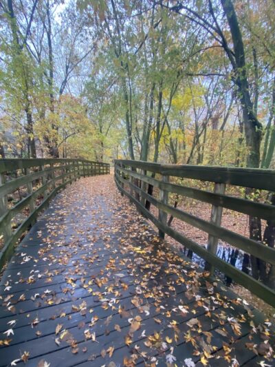 Rivergreenway - Fort Wayne, IN