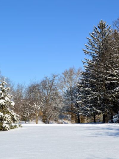 Swinney Park - Fort Wayne, IN