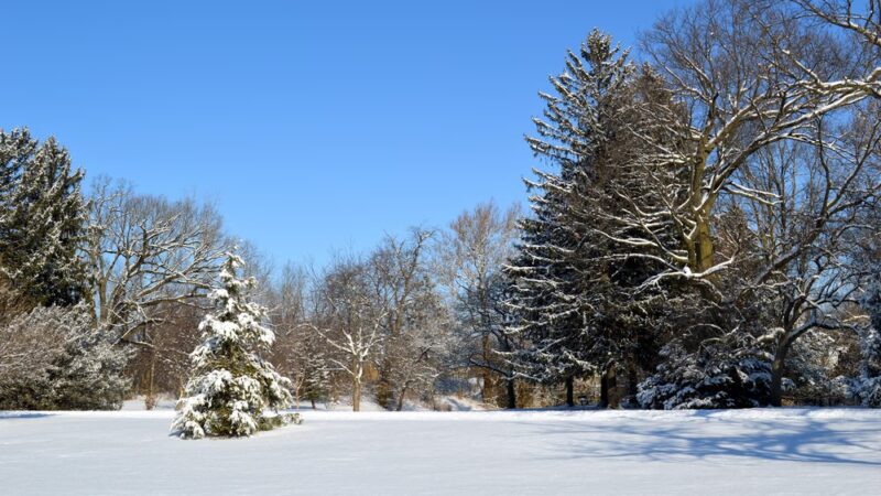 Swinney Park - Fort Wayne, IN