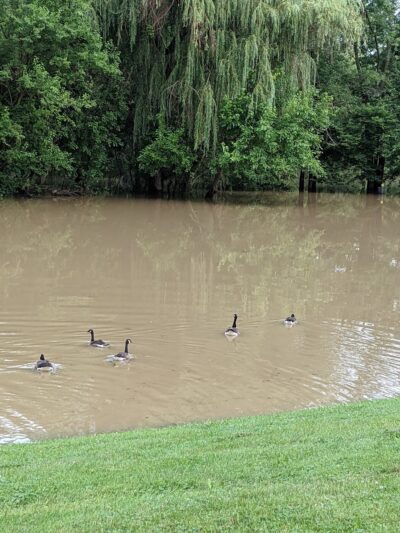 Swinney Park - Fort Wayne, IN