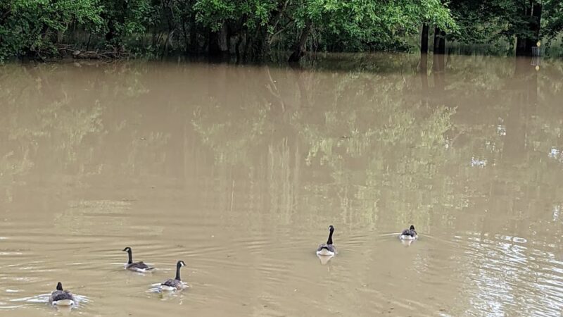Swinney Park - Fort Wayne, IN