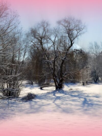 Swinney Park - Fort Wayne, IN