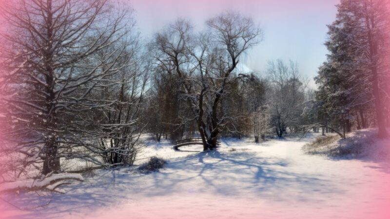Swinney Park - Fort Wayne, IN