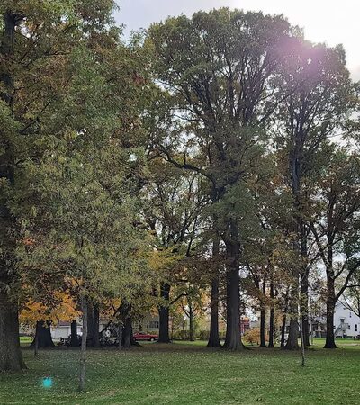Weisser Park - Fort Wayne, IN