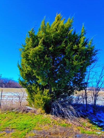 Alexandra Meadows Park - Fort Worth, TX