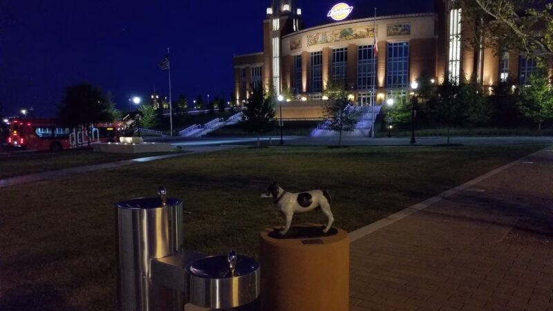 Alice Walton Cowgirl Park - Fort Worth, TX