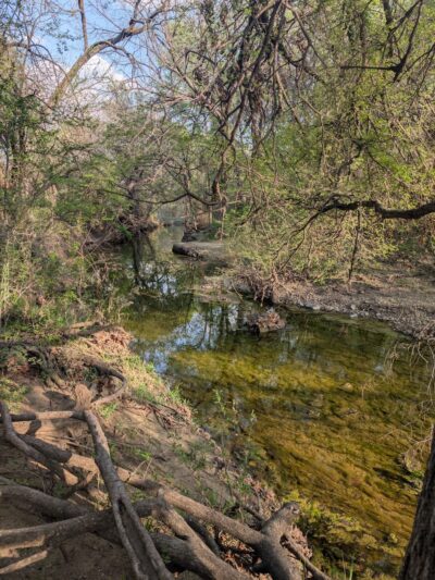 Arcadia Trail Park South - Fort Worth, TX