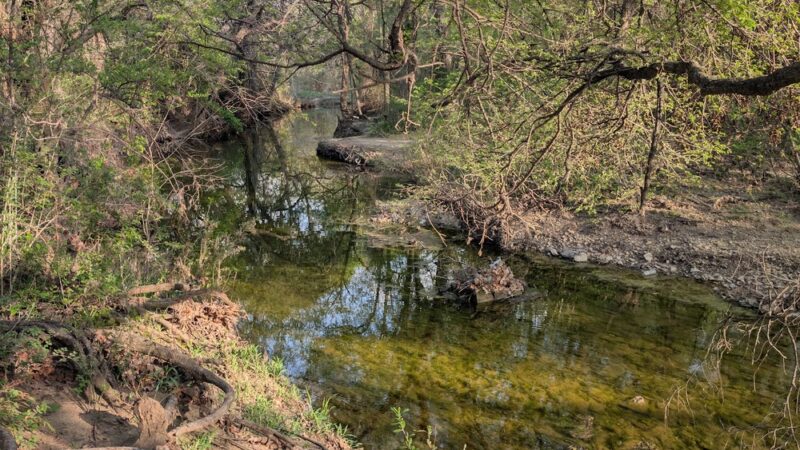 Arcadia Trail Park South - Fort Worth, TX