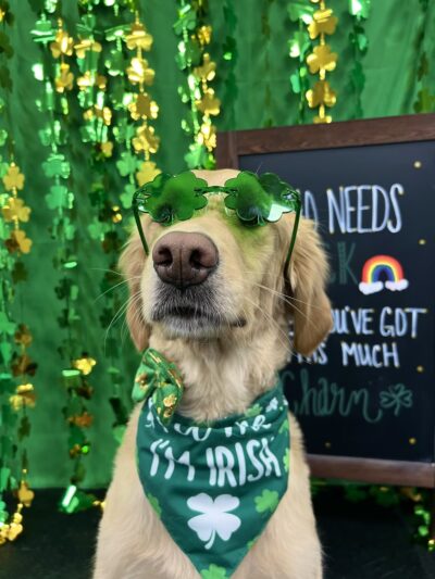 Dogtopia of Fort Worth - Downtown - Fort Worth, TX